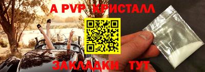 индика Лесосибирск