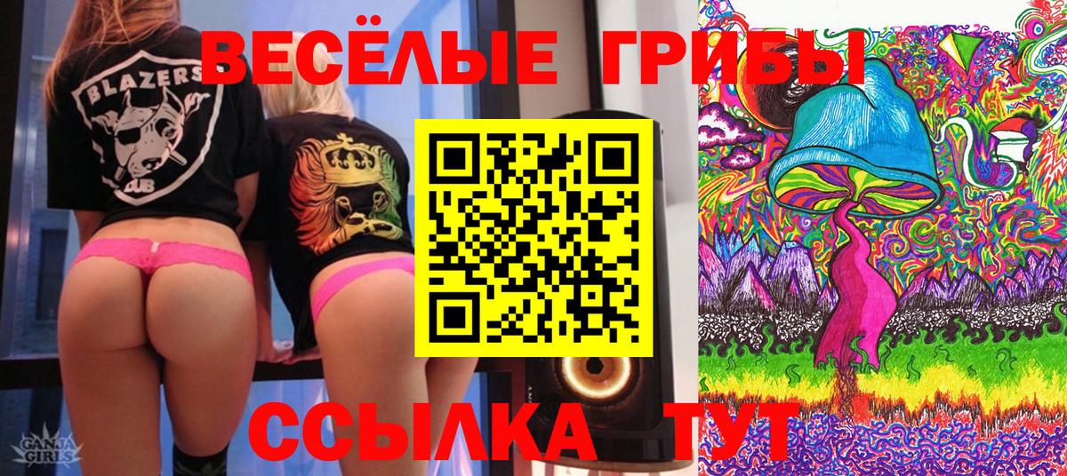 Галлюциногенные грибы Cubensis  Вход с VPN  Знаменск 