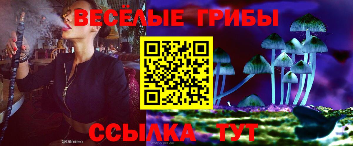 Псилоцибиновые грибы GOLDEN TEACHER Знаменск