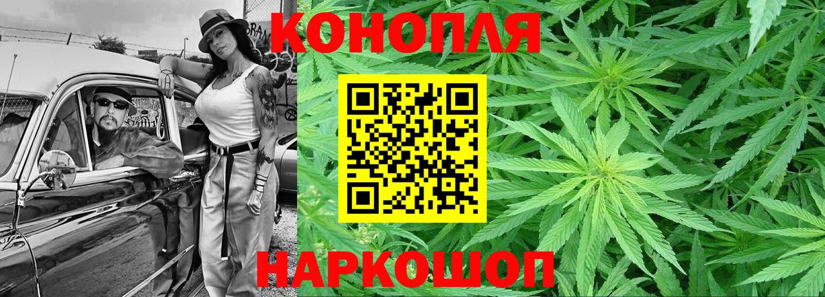 Бошки марихуана сатива  Канабис план  Каннабис план  Знаменск  Вход с VPN 